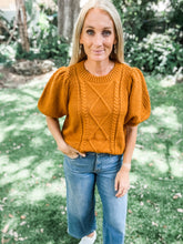 Load image into Gallery viewer, Drop earrings, rust short sleeve sweater